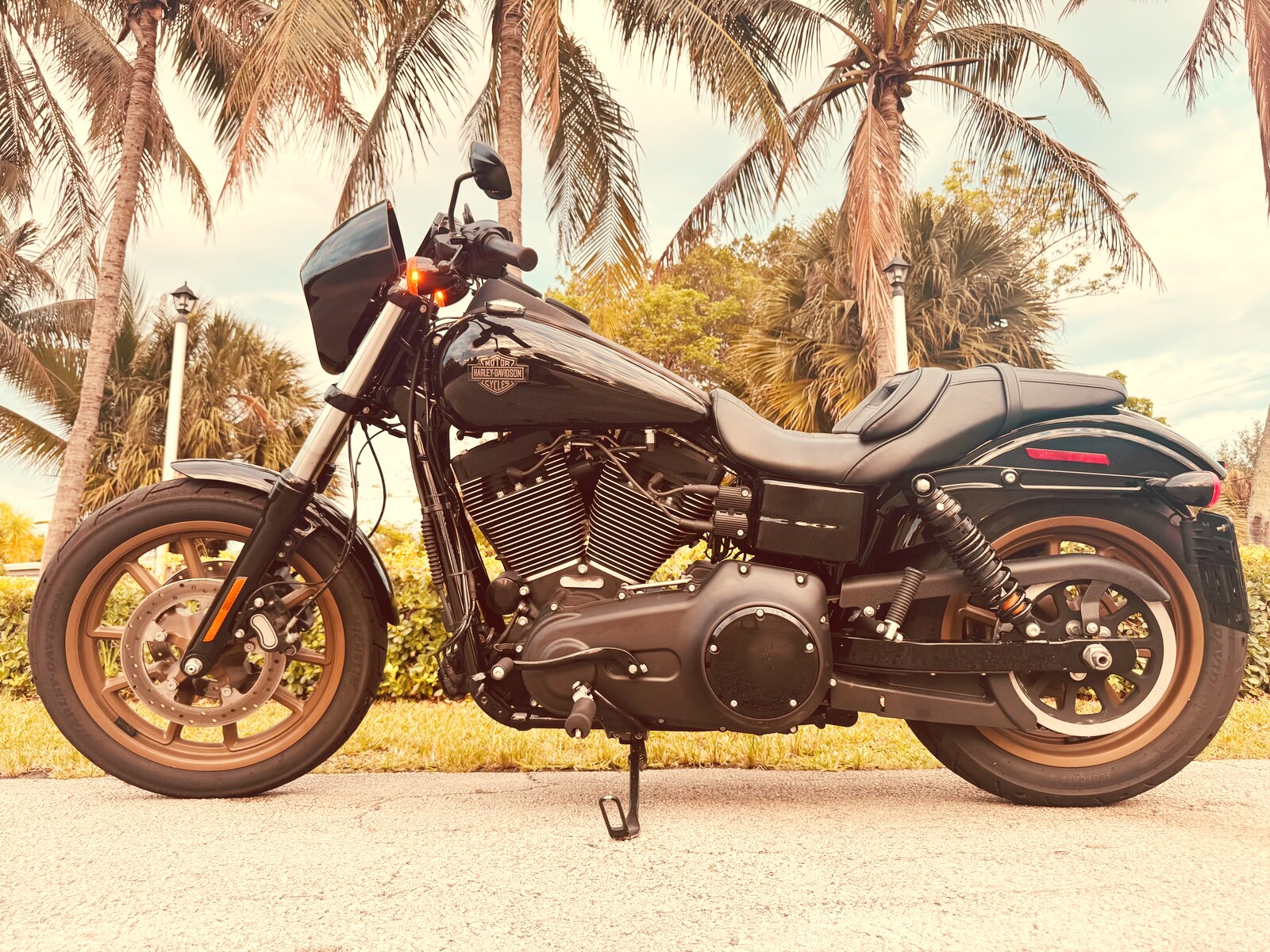 Harley Davidson Dyna Low Rider S